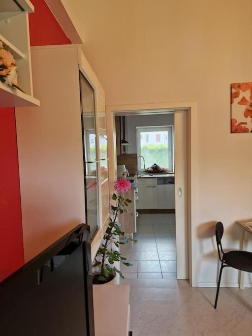 Ferienwohnung Bayernbrise Rohrdorf  Buitenkant foto